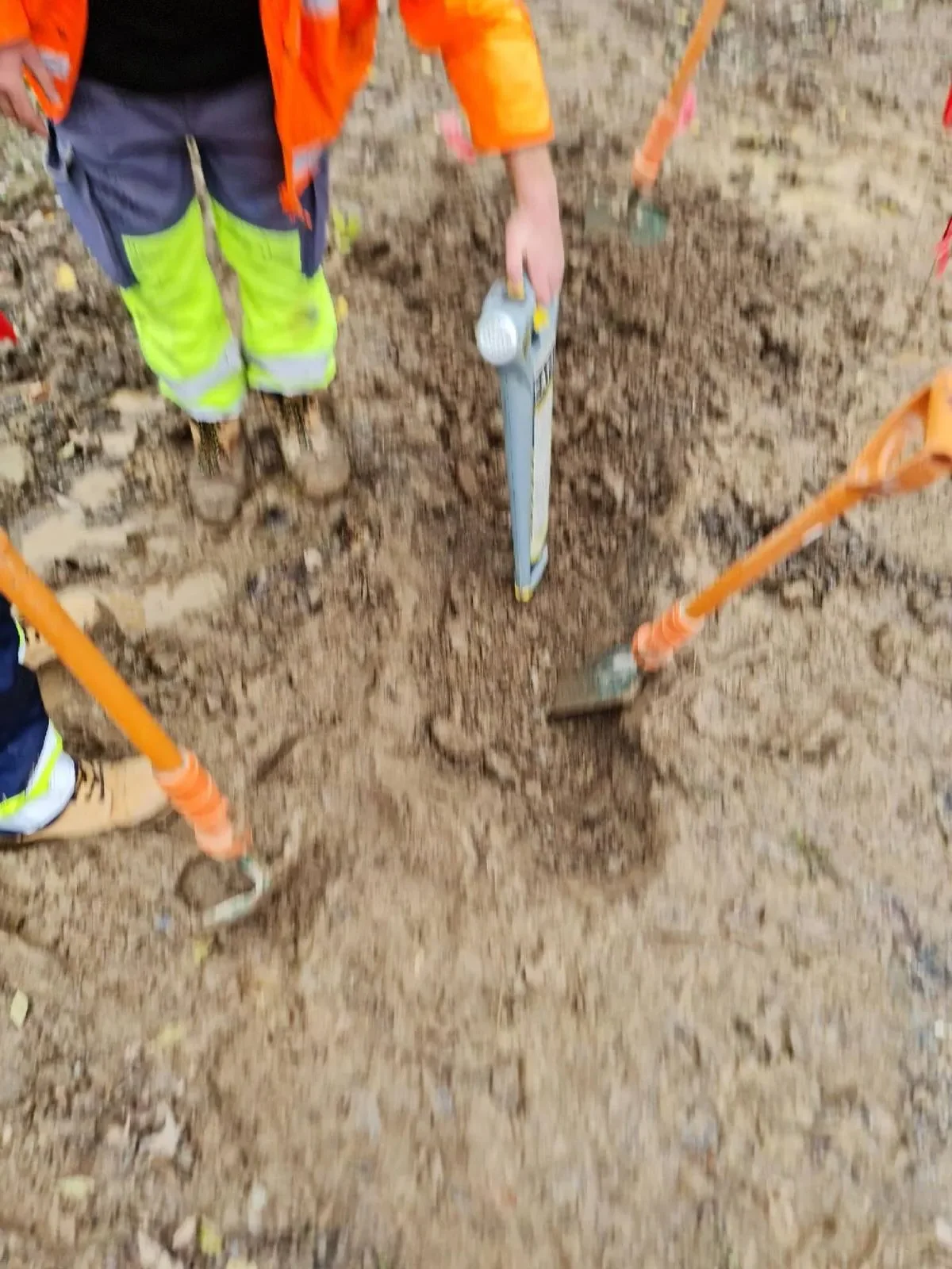 EUS CAT1 and CAT2 combined training - on-site delivery