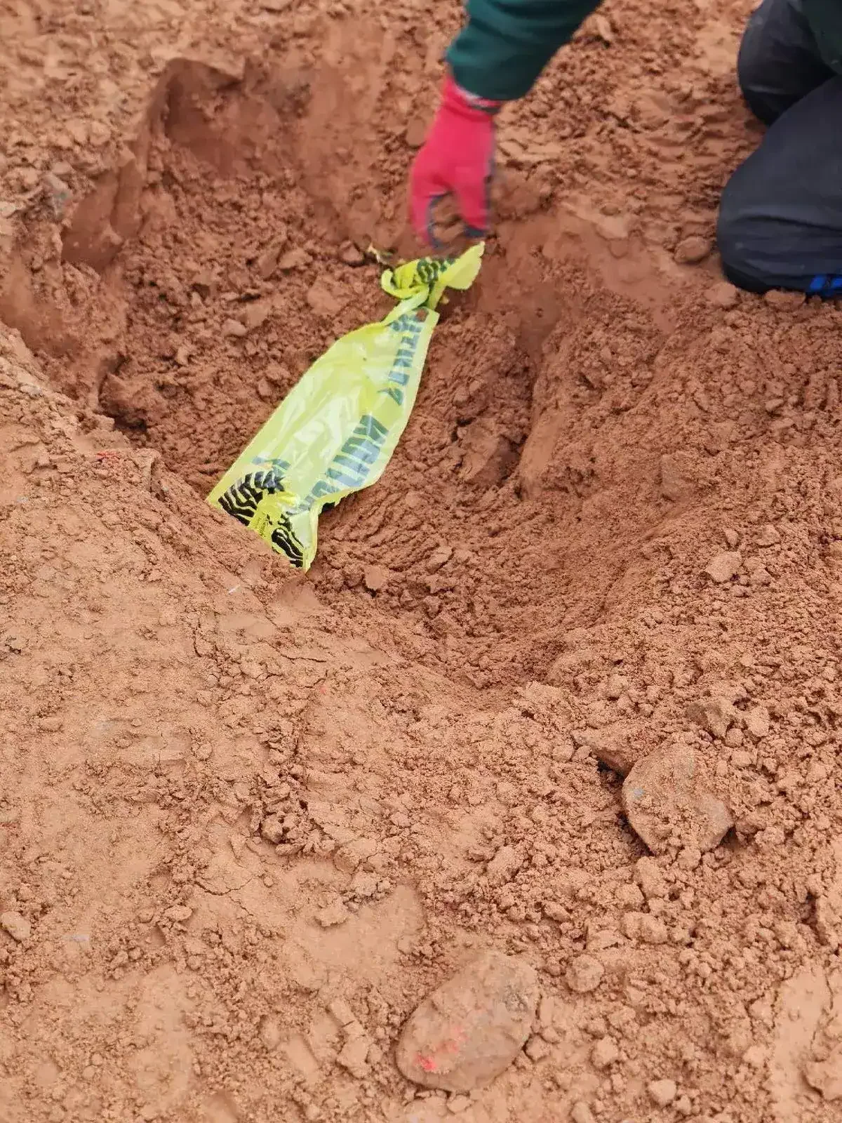 ProQual CAT2 practical assessment