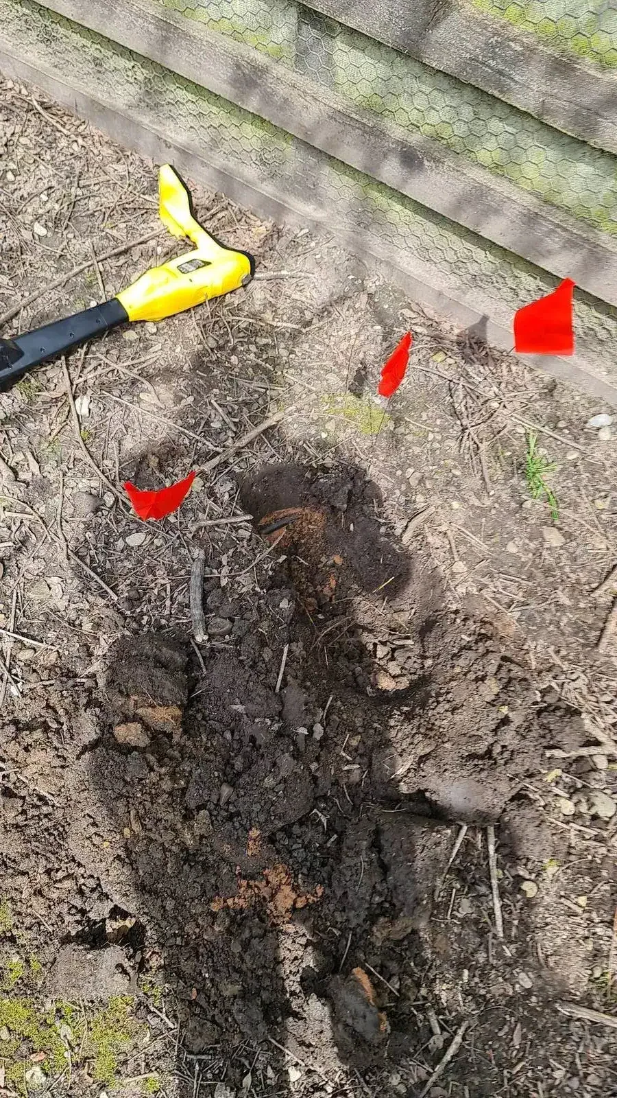 Delegates during final renewal assessment