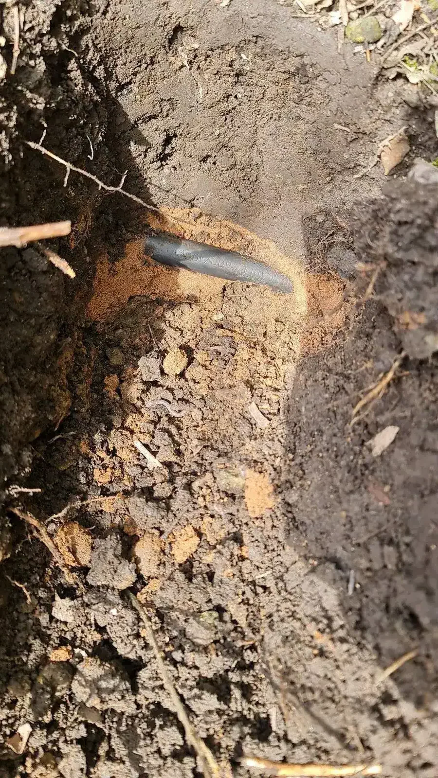 Combined EUS CAT1, CAT2 and USC on-site training delivery